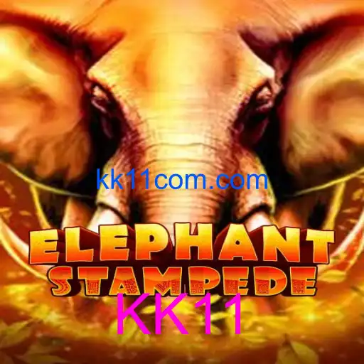 ElephantStampede